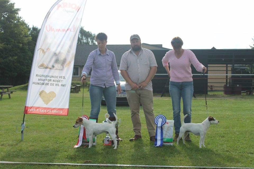 Champion of Champions: Top Noch Risk of Bixit - Res. Champion: Top Noch Drew. Dommer Joe Gilfillan, UK.