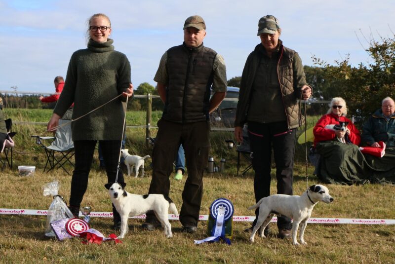 Best in October Show Best in Show: 1: Cedra Ze Strazne hory 2: Mansings Elektra